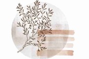 觅圈官网入口新手指南：流量翻倍完全指南