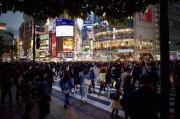 独家揭秘《觅圈电脑版》会员经济背后真相