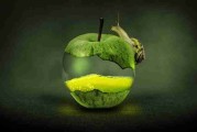 搜索优化！久久网页实测报告一文看懂